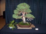 Annual Show 2011 - 26 2011